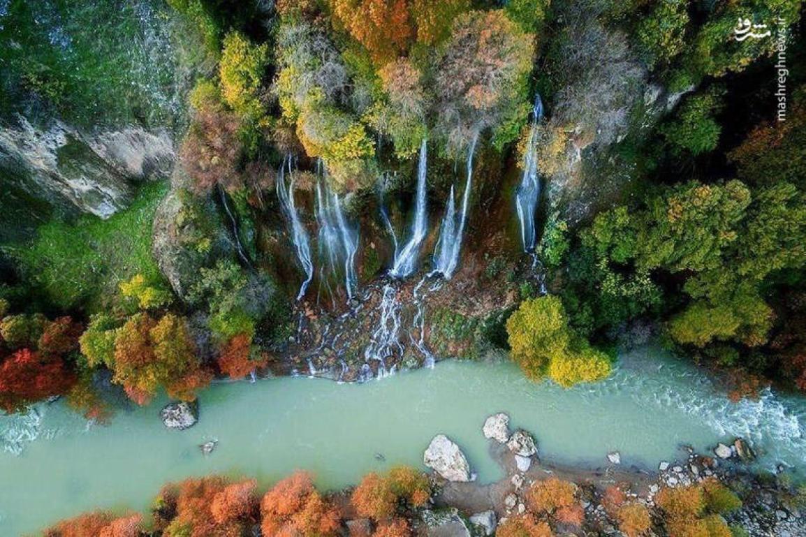 بیشه لرستان